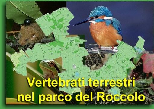 Il parco del Roccolo è un Parco Locale di interesse Sovracomunale, riconosciuto dalla Regione Lombardia nel 1994, di circa 15 Kmq, situato nell'alta pianura a Nord Ovest di Milano.