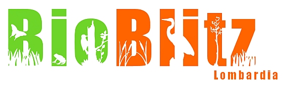 Logo Bioblitz 2024