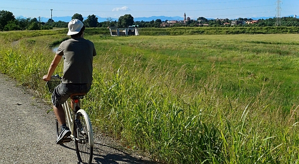 Vasche di laminazione Olona