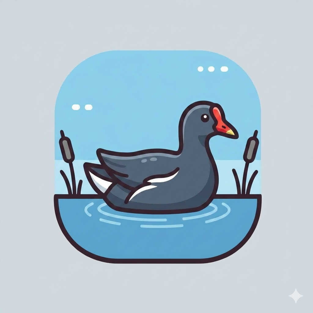 Gallinella d'acqua